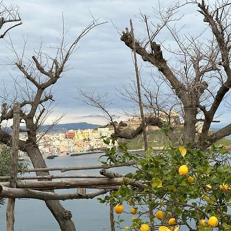 Villa La Casa Dei Sogni à Procida Extérieur photo