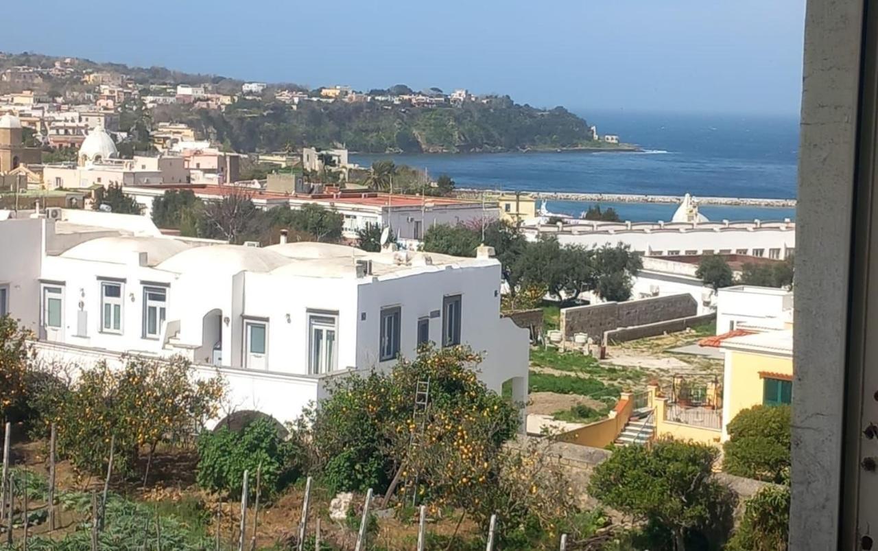 Villa La Casa Dei Sogni à Procida Extérieur photo