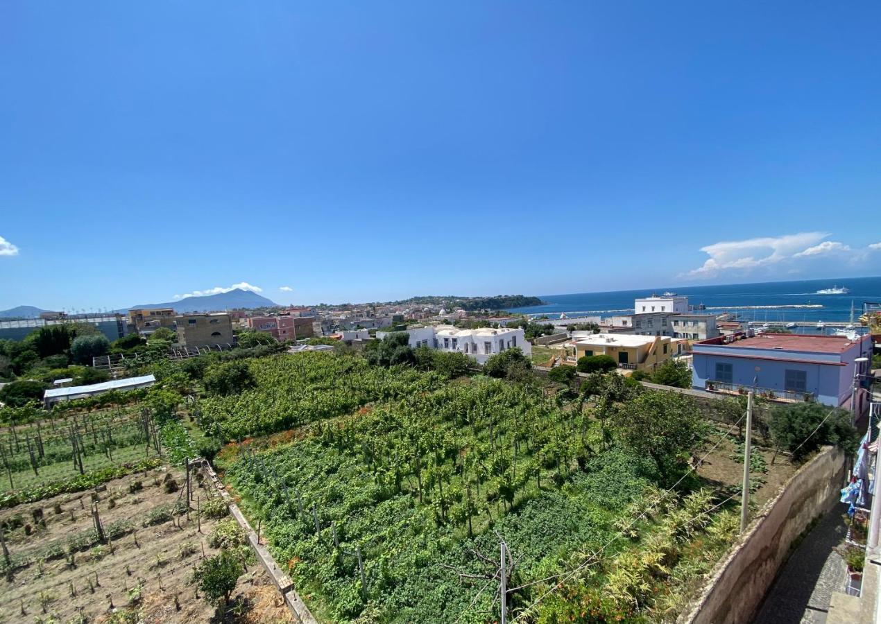 Villa La Casa Dei Sogni à Procida Extérieur photo