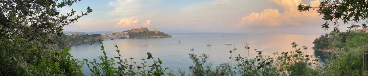 Villa La Casa Dei Sogni à Procida Extérieur photo