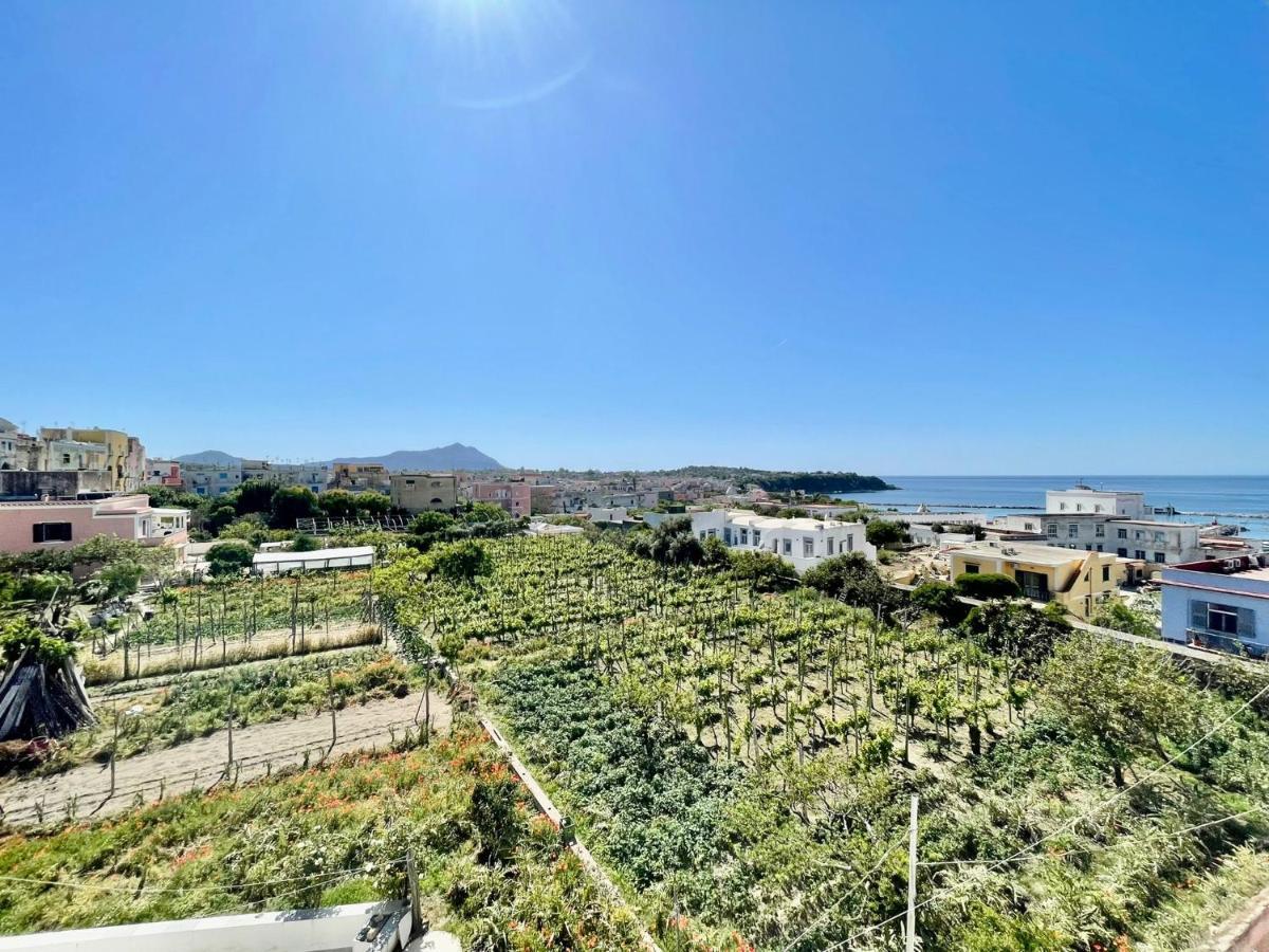 Villa La Casa Dei Sogni à Procida Extérieur photo