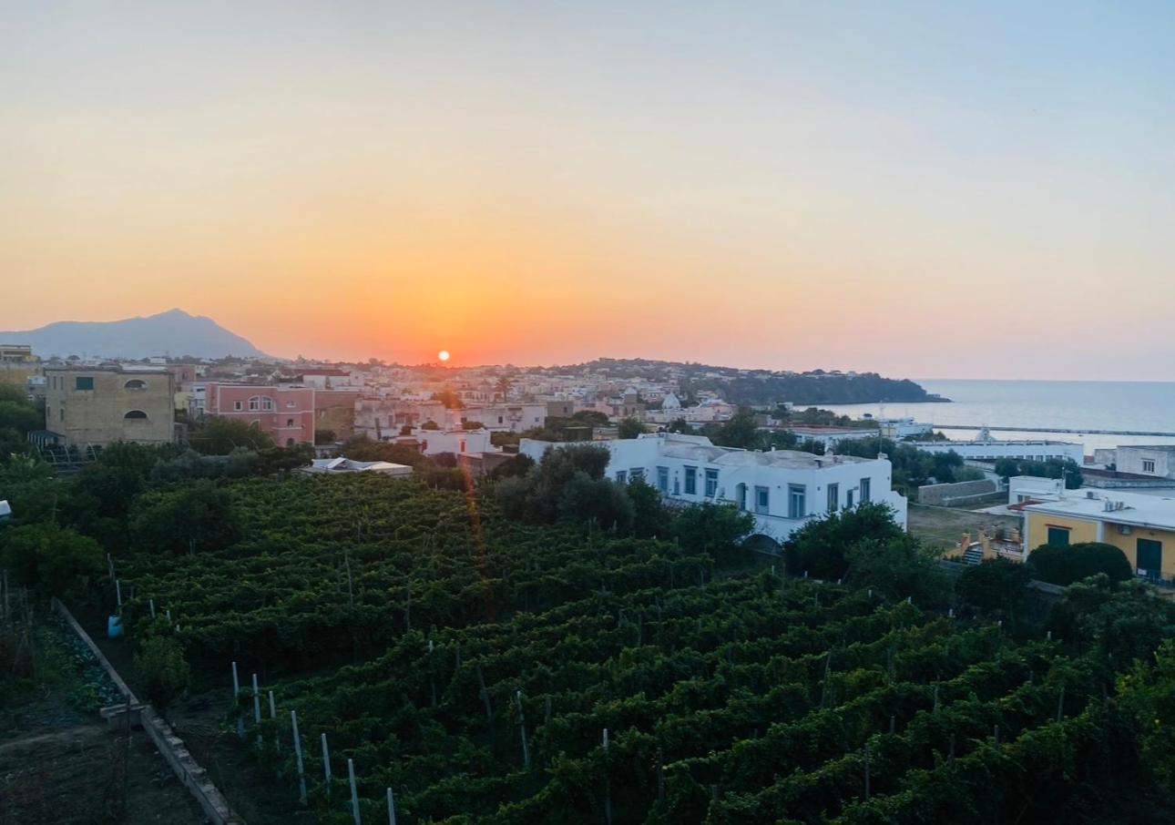 Villa La Casa Dei Sogni à Procida Extérieur photo