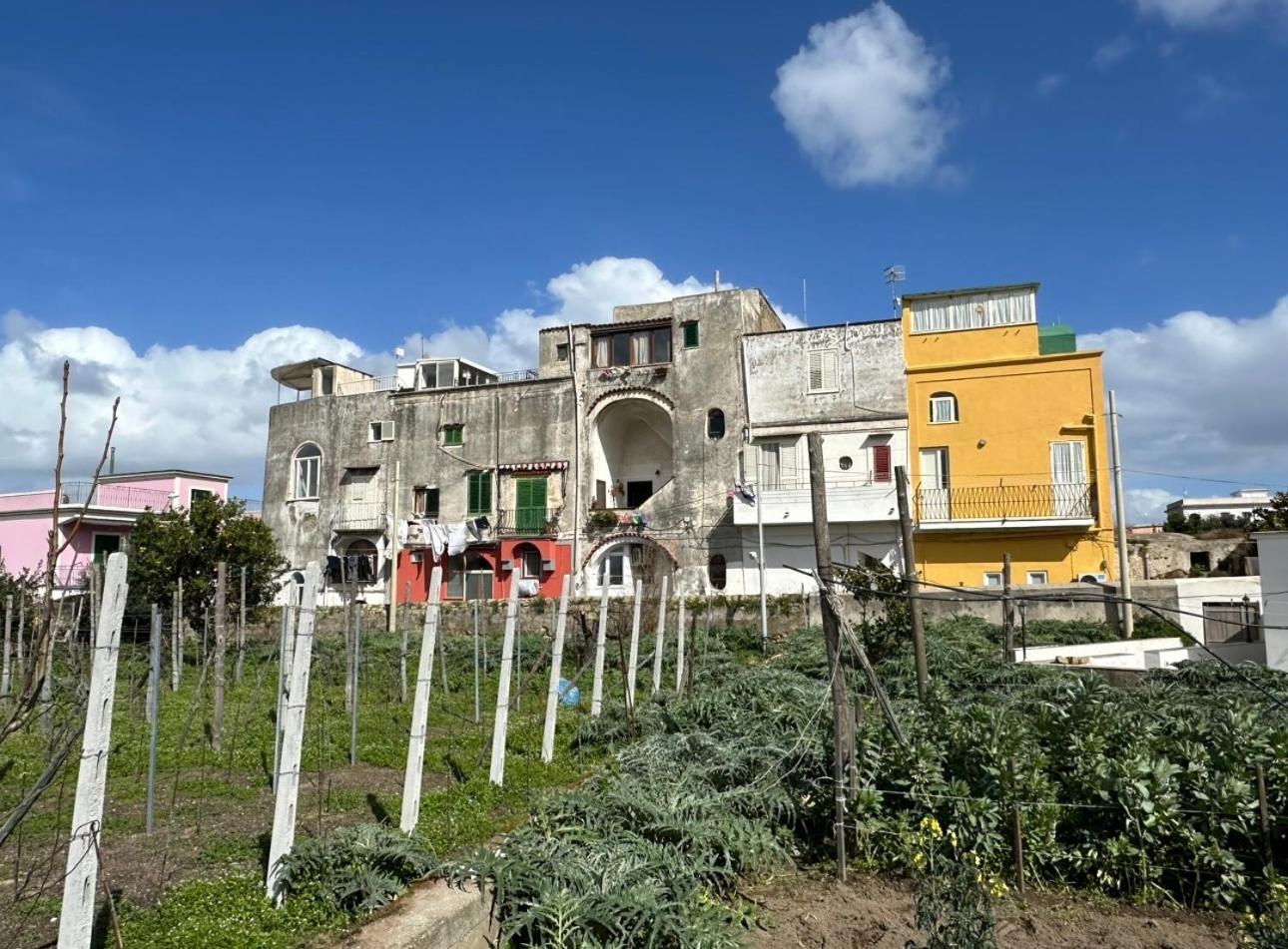 Villa La Casa Dei Sogni à Procida Extérieur photo