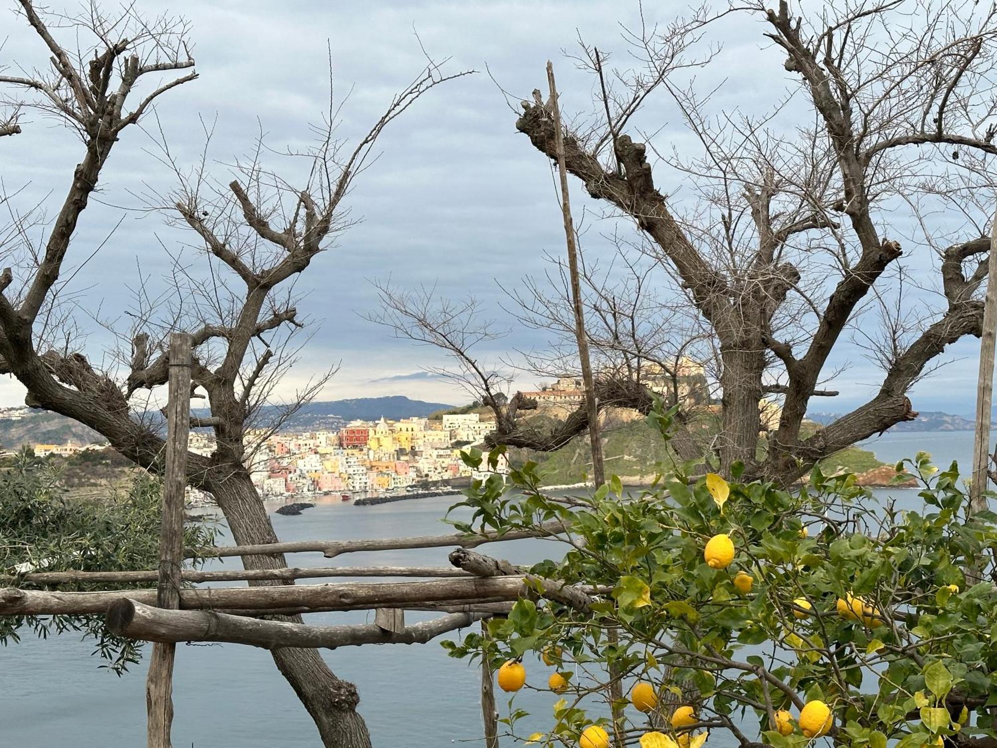 Villa La Casa Dei Sogni à Procida Extérieur photo